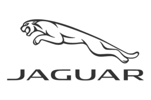 Jaguar Jaguar